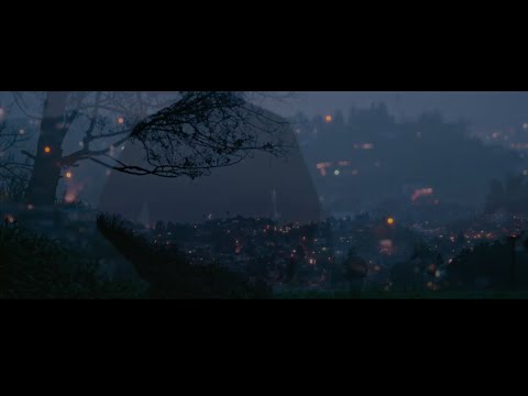 Young Bodies - Sea Wolf