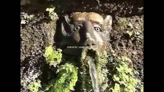 Tivoli, The Gardens of Villa d'Este included in the UNESCO world heritage list (manortiz)