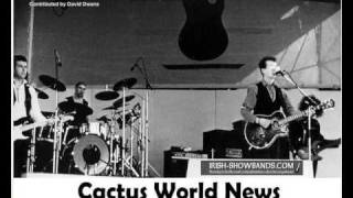 Cactus World News - Rebound