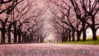 【Cover】コブクロ「桜」（FULL サイズ：歌詞付き）KOBUKURO &quot;SAKURA&quot;