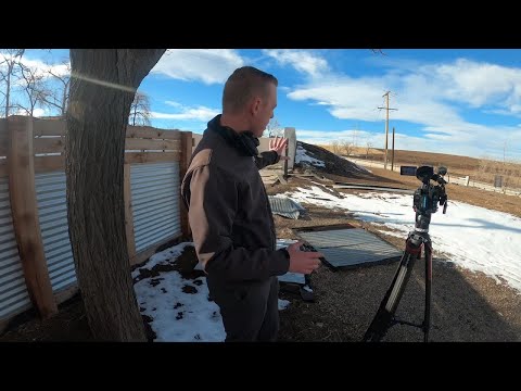 Doggy daycare freed 41 dogs as Marshall Fire closed in