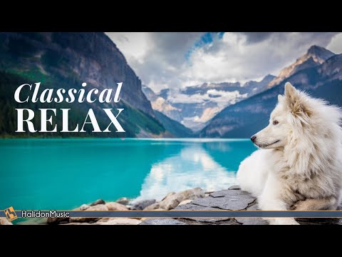 Classical Music for Relaxation: Chopin, Beethoven, Liszt...
