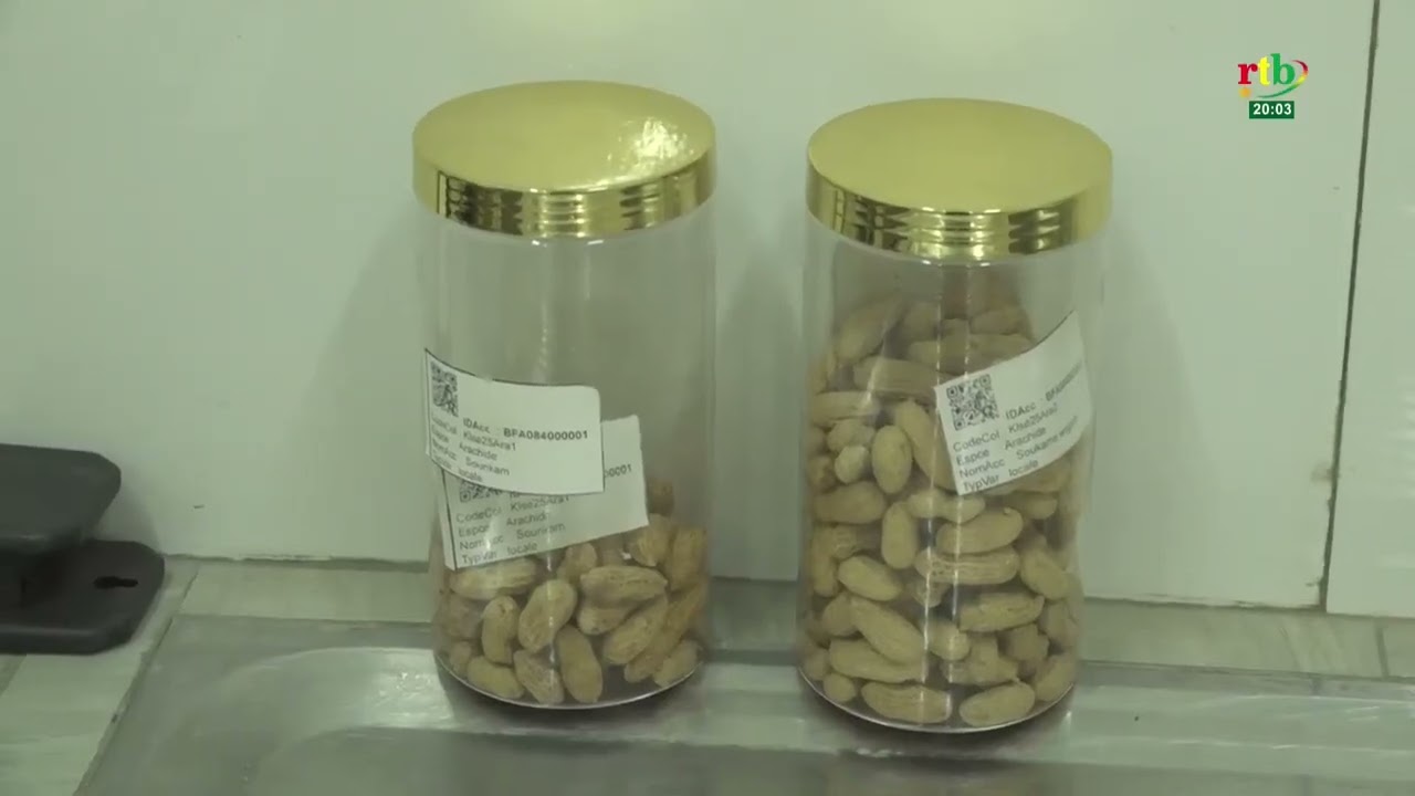 Souveraineté alimentaire : le Burkina inaugure sa Banque Nationale de Gènes Phytogénétiques (BNGP)