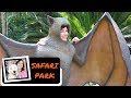 Safari Park Adventure