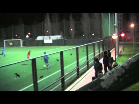 Savio - Albalonga - Daniele -18 gennaio 2014