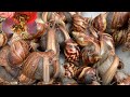 Ốc Sên (Ốc Ma) Xào Lăn Ăn Như Bào Ngư | Cooking Snail Recipe Delicious