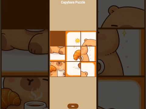 Capy Slide