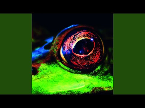 Day & Night (Night Mix)