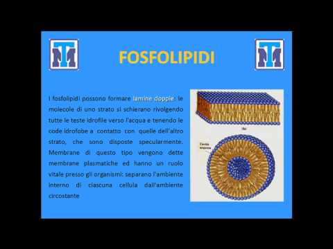 Malattie della ginnastica del rachide cervicale TEIP imposizione con dolore al collo