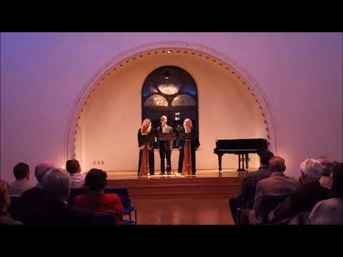 Trio Sanguinis: MADONA S DIEŤAŤOM