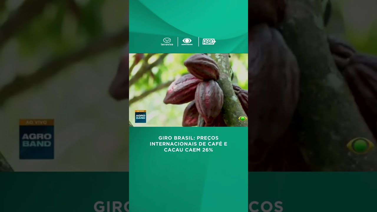 Preços internacionais do café e do cacau caem 26%