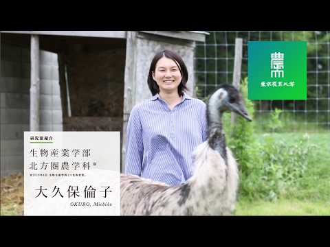 生物産業学部 北方圏農学科 研究紹介