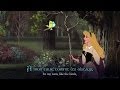 Je Voudrais I Wonder French Lyrics Trans