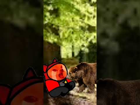COMO SOBREVIVIR AL ATAQUE DE UN OSO - #cheems #humor #shorts #abrohilo #memes