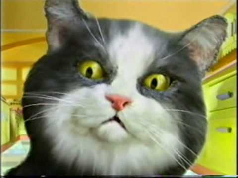 Tyne Tees adverts, trailer and continuity from summer 1994