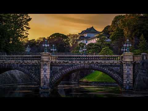 Anemone x AnnD x Dyrox - The Gallantry