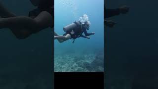 While SCUBA diving in Costa Rica, Maxwell rescues baby sandray snagged by fishing line