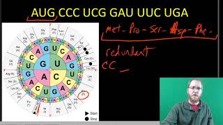 Genetic Code and Translation