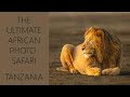 An Epic Tanzania Photo Safari