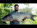 Fried Fish Biryani Simple And Easy Fried Fish Biryani Recipe Grandpa Kitchen