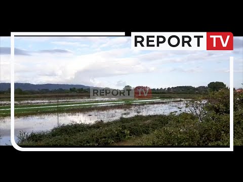 2 herë brenda 3 ditësh lumi Ishëm del nga shtrati/ Dhjetëra ha tokë të mbuluara nga uji