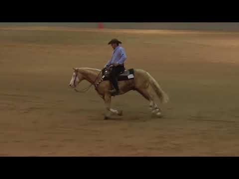 180224 Christian Roux on Steady Smoking Guns Open