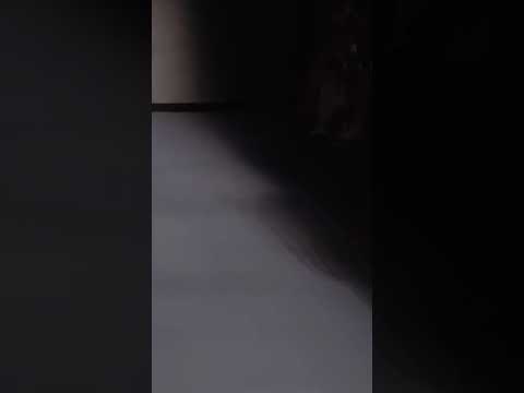 Naranja Furcado Swimwear #nexttop #model #catwalk #sexy #fashion #luxury #collection 4