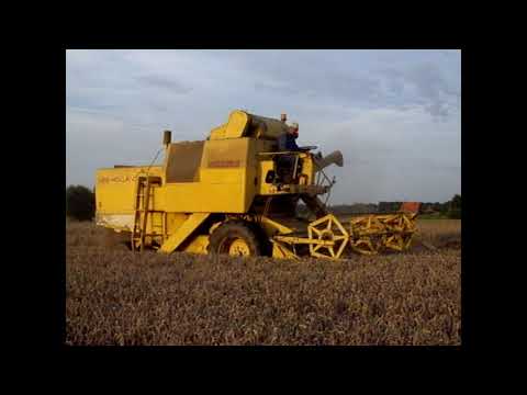 Landb. Bottelier - Oekene - Clayson M135