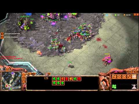 Starcraft 2: Hearth of the Swarm -  2v2 Gold League  TZ v ZZ - 7 Roaches All in + Marines + Baneling