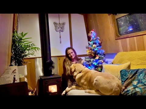 Die Schönheit des Weniger auf meinem gemütlichen Narrowboat #264