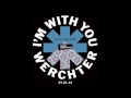 Red Hot Chili Peppers - Punk Disco Jam - Live ...