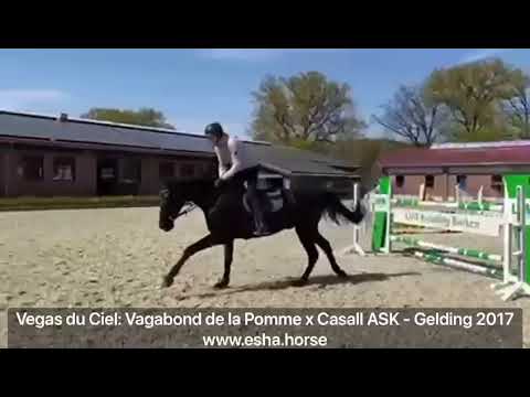 Vegas du Ciel: VAGABOND DE LA POMME x CASALL