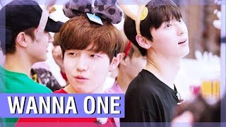 WANNA ONE FUNNY MOMENTS WANNA ONE FUNNY MOMENTS