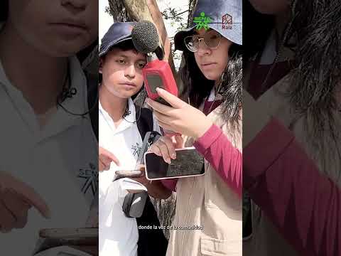 Caracterización territorial en Suárez Ulloa, Togüí (Boyacá) | Proyecto Raíz