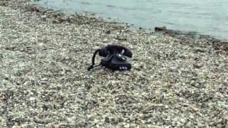 Gis Maj Es - Unreachable