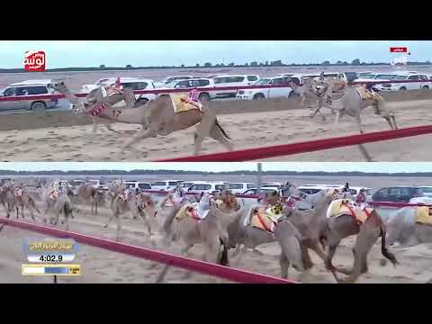 ش 6 بندقية إنتاج (مدوخ) لـ محمد علي حمد المري 7:15:90  ، ختامي المرموم 2026/03/24 لقايا