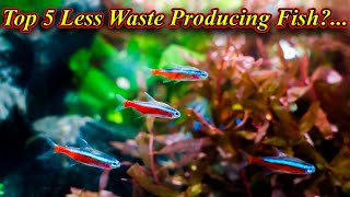 குறைவான Waste உற்பத்தி செய்யும் மீன்கள்… Top 5 Less Waste Producing Fishes.. / Fish Aquarium Tamil