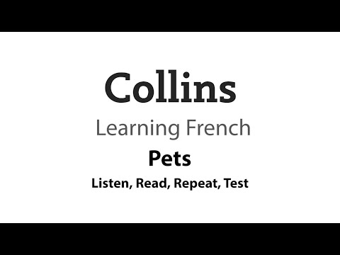 French Translation of “TAG”  Collins English-French Dictionary