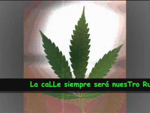 Mama marihuana - Gotas de rap