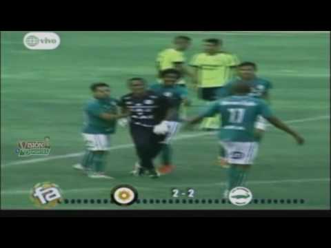 Resumen GOLES de la Segunda Profesional 2016 - Fecha 13