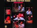James Cotton- Hot 'n' Cold