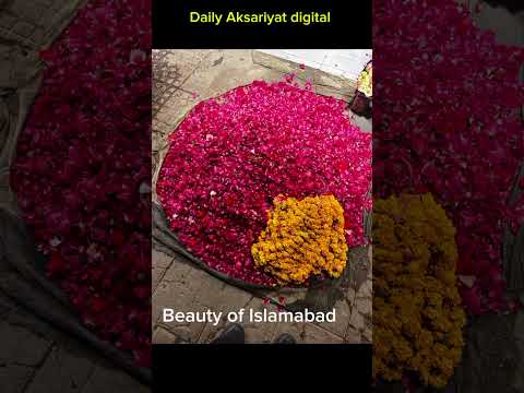 Pak/ BEAUTY OF ISLAMABAD PAKISTION