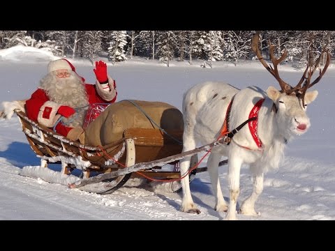 Papá Noel 🎅🦌 Santa Claus video para los niños: super líquenes de los renos en Finlandia Navidad
