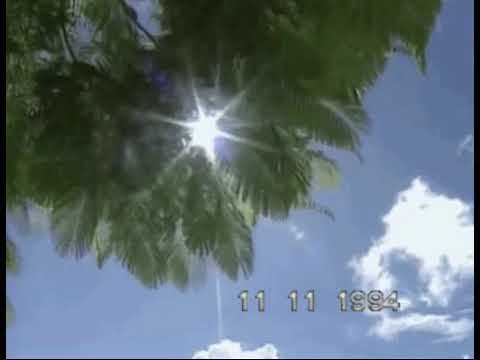 ZIN IN DE ZOMER MAN - Bizzey x Kraantje Pappie  slowed+reverb