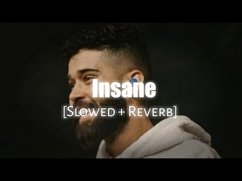 Insane - (Slowed + Reverb) ft. Ap Dhillon | Namya_editz