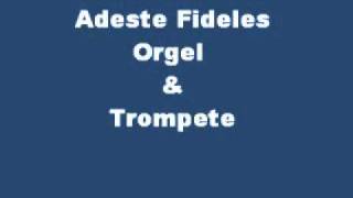 Adeste Fideles - Nun freut euch ihr Christen -  Herbei O Ihr Gläubigen - Trompete und Orgel