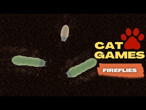 Cat Games Catch Cute Larva On The Phone Screen For Cats