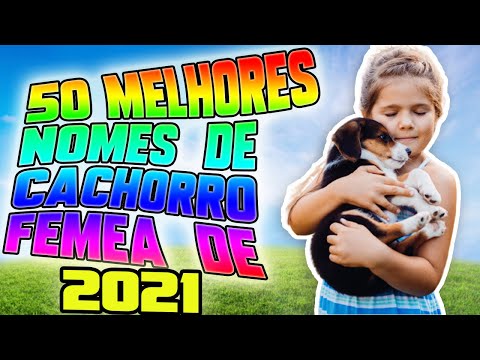 50 Melhores NOMES DE CACHORRO FÊMEA de 2021