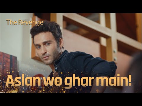Tum mujhe theek nahi lag rahi ho - The Revenge Urdu