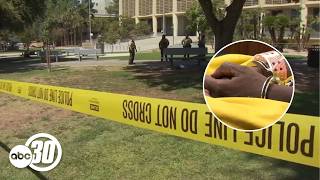 Suspect in Fresno Courthouse Park stabbing appears before judge